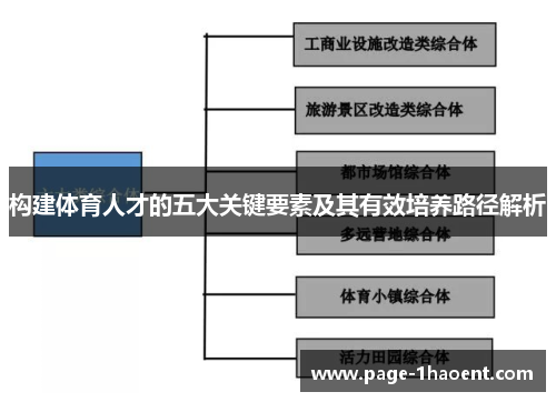 构建体育人才的五大关键要素及其有效培养路径解析