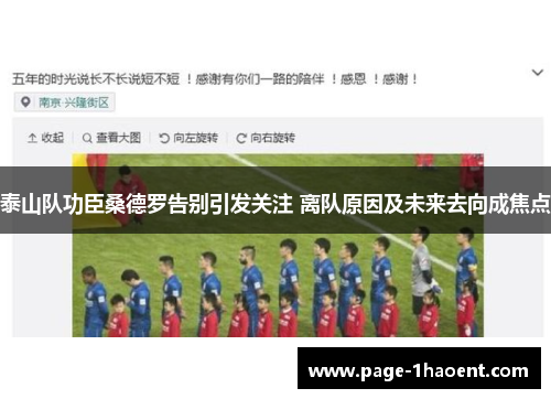 泰山队功臣桑德罗告别引发关注 离队原因及未来去向成焦点