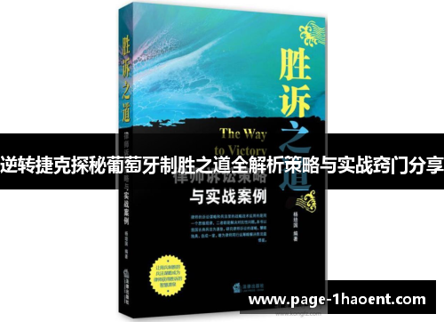 逆转捷克探秘葡萄牙制胜之道全解析策略与实战窍门分享