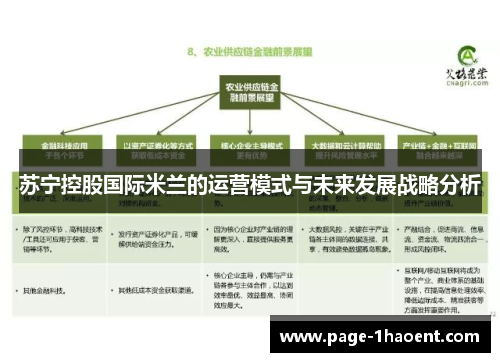 苏宁控股国际米兰的运营模式与未来发展战略分析