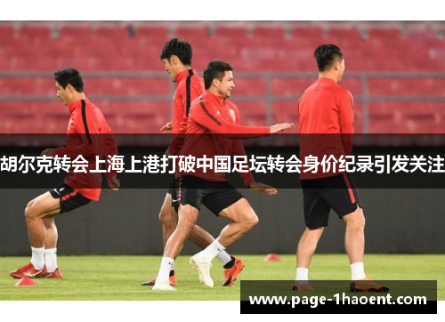 胡尔克转会上海上港打破中国足坛转会身价纪录引发关注 胡尔克转会上海上港打破中国足坛转会身价纪录引发关注