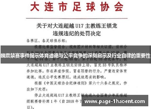 魏震禁赛事件揭示体育道德与公平竞争的深刻启示及行业自律的重要性